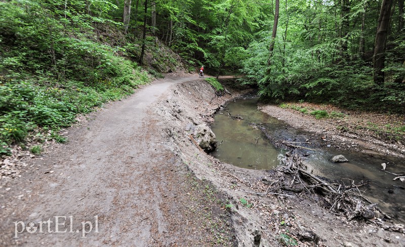 Co dalej z Bażantarnią zdjęcie nr 175222