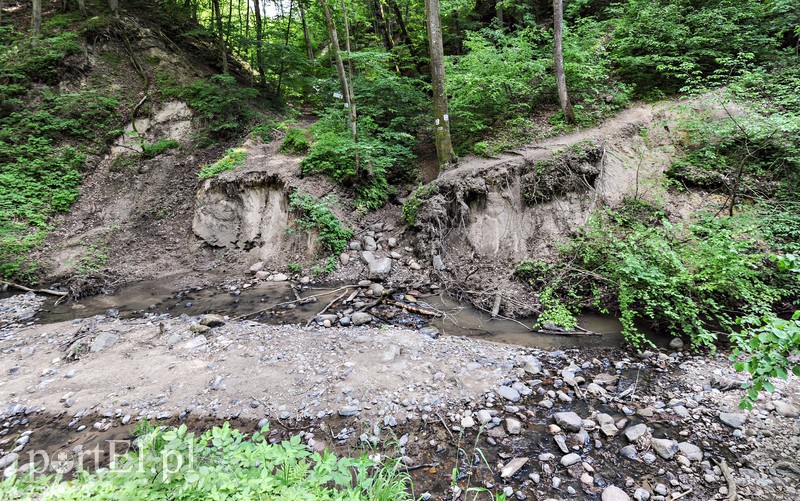 Co dalej z Bażantarnią zdjęcie nr 175243