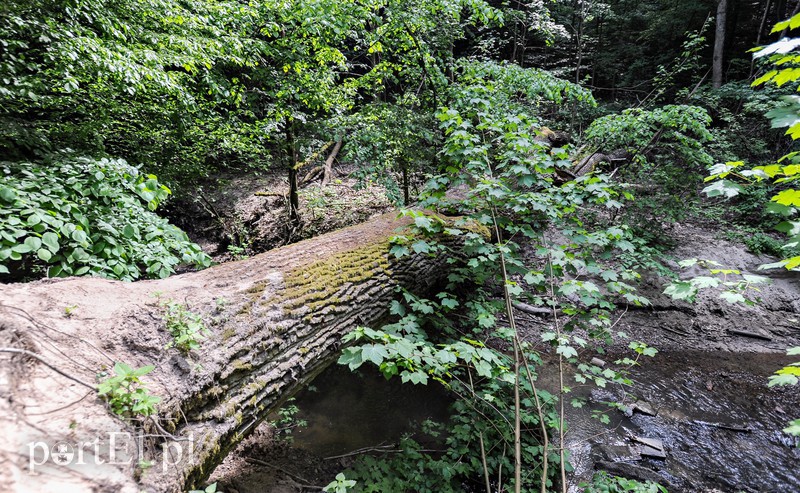 Co dalej z Bażantarnią zdjęcie nr 175221