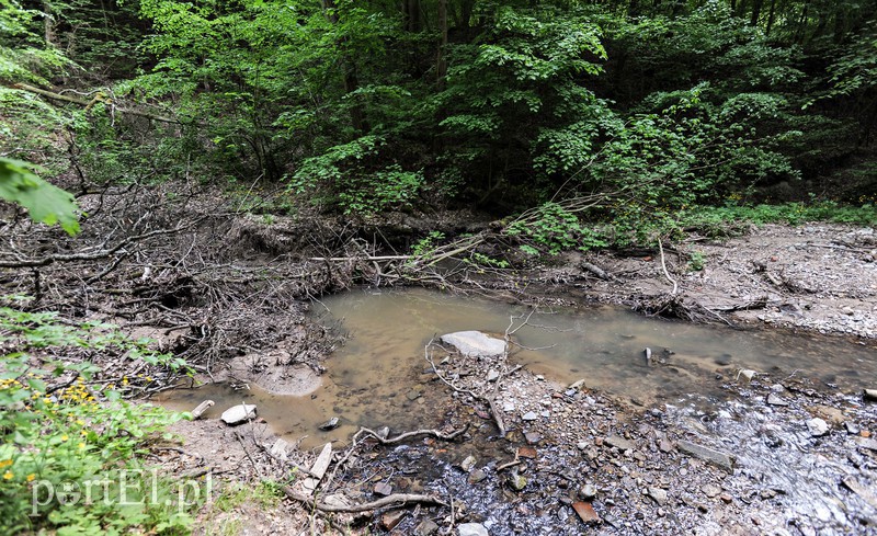 Co dalej z Bażantarnią zdjęcie nr 175225