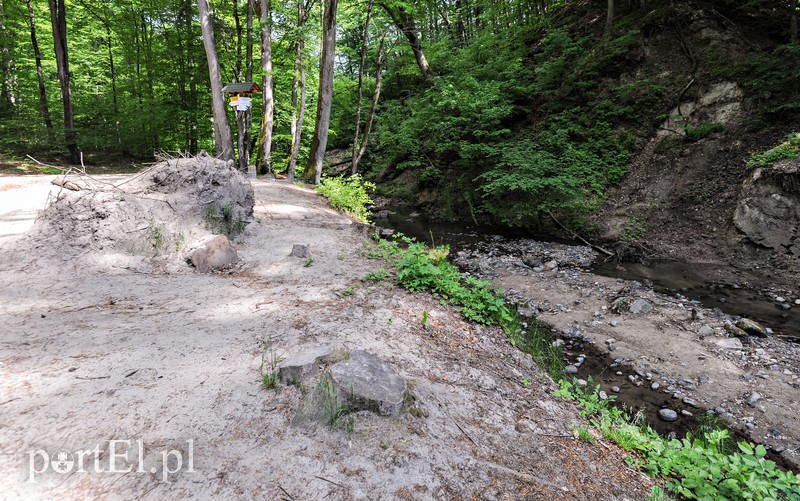 Co dalej z Bażantarnią zdjęcie nr 175244