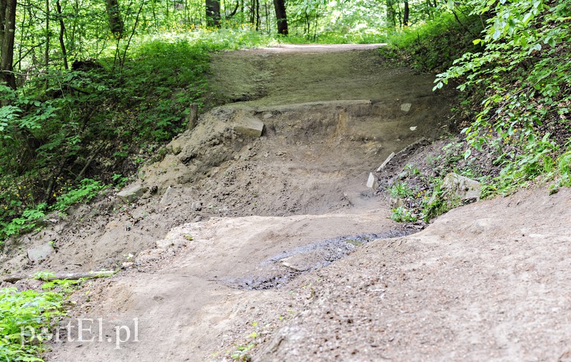 Co dalej z Bażantarnią zdjęcie nr 175239