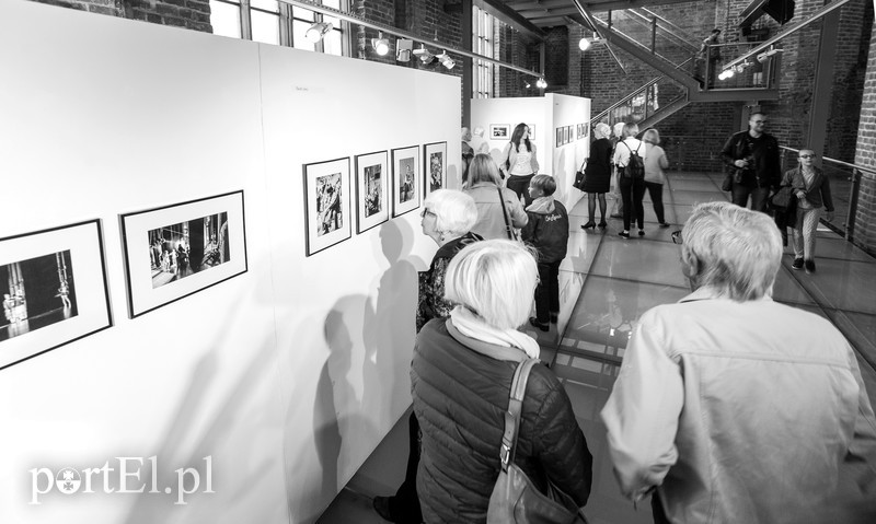 Konrad Kosacz mówi: Sprawdzam zdjęcie nr 175415