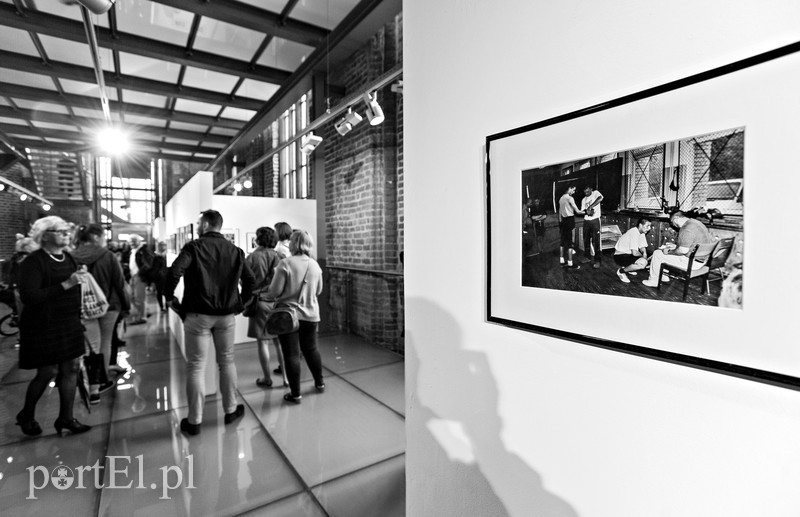 Konrad Kosacz mówi: Sprawdzam zdjęcie nr 175414