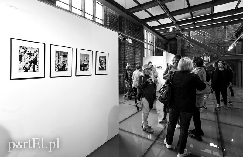 Konrad Kosacz mówi: Sprawdzam zdjęcie nr 175412