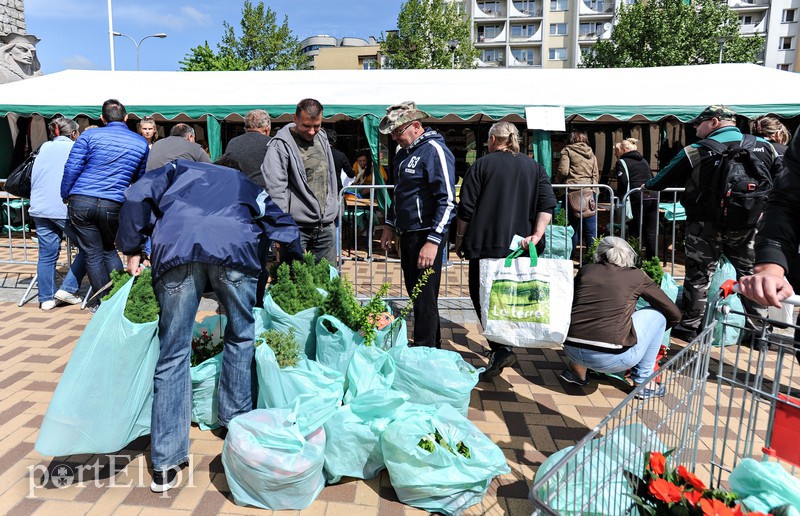 Segregację odpadów mają we krwi zdjęcie nr 175466