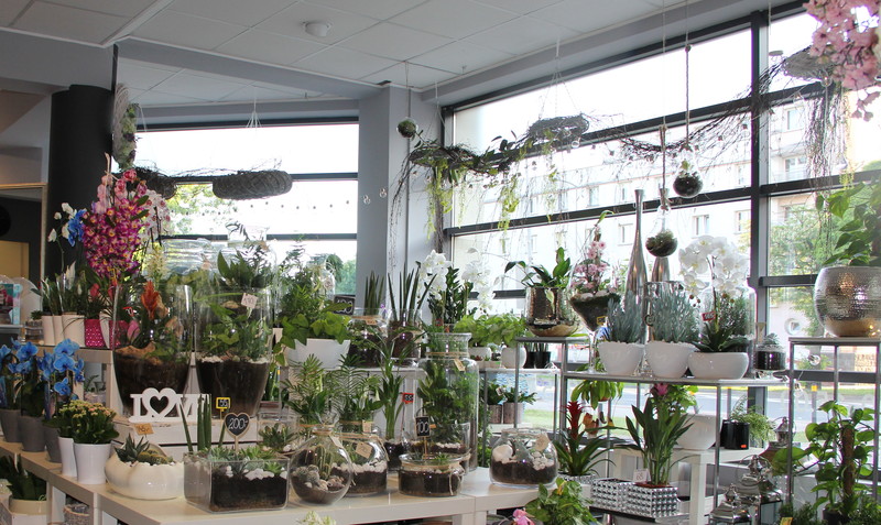 Elbląg Dzień Matki w Kwiaciarni Romantycznej