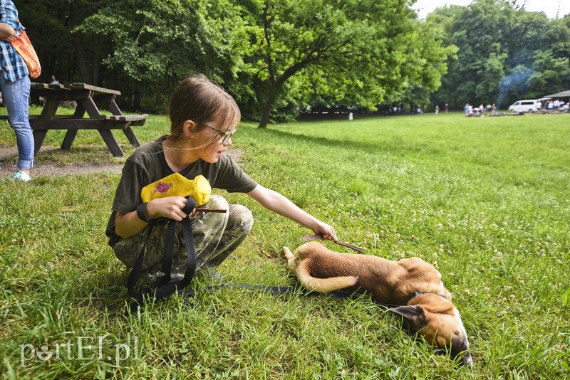 Elbląg Mamy pomysł na bieg na sześć łap