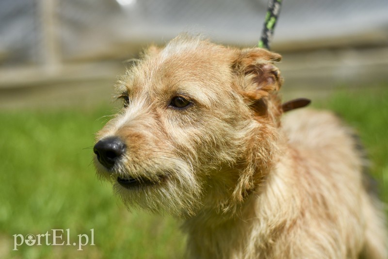 Galeria pod psem i kotem (Odc.3) zdjęcie nr 176175