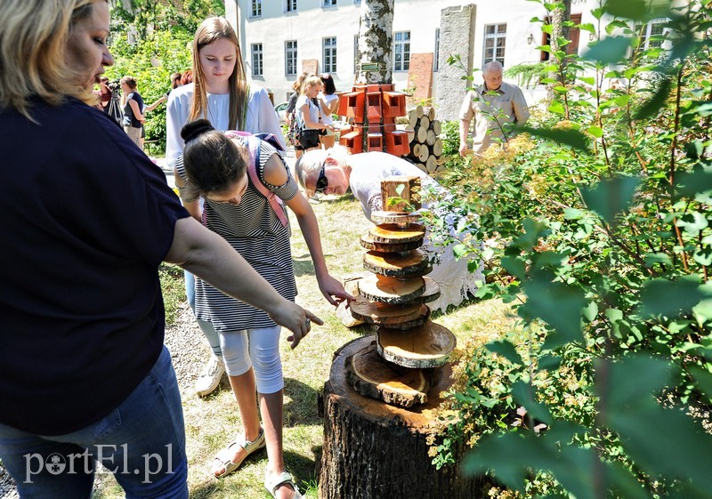 Tu wszystkiego można dotknąć zdjęcie nr 176374