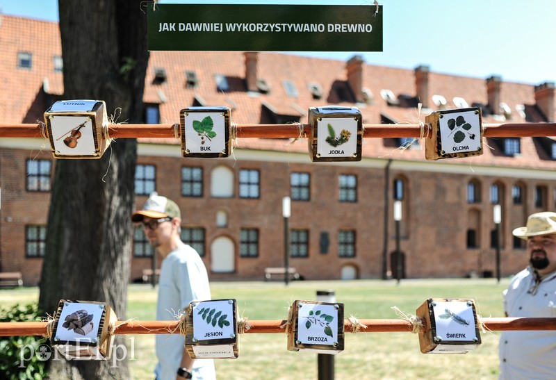 Tu wszystkiego można dotknąć zdjęcie nr 176381