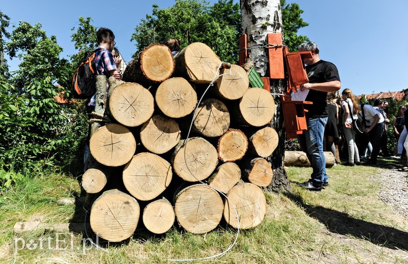Tu wszystkiego można dotknąć zdjęcie nr 176366