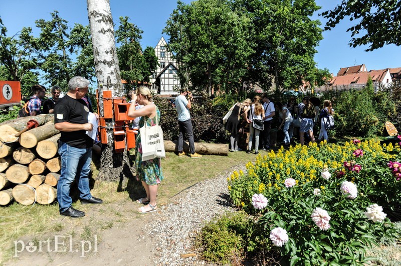 Tu wszystkiego można dotknąć zdjęcie nr 176365