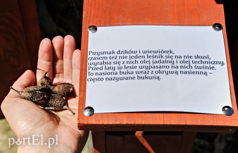 Tu wszystkiego można dotknąć zdjęcie nr 176379