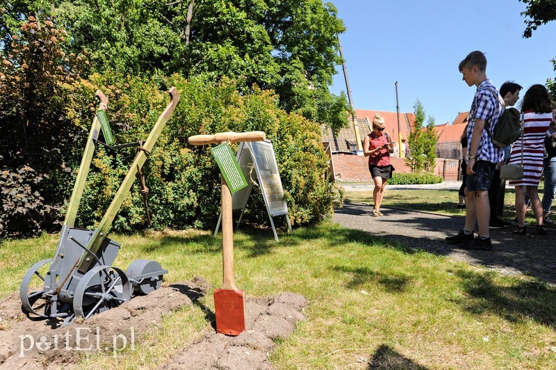 Tu wszystkiego można dotknąć zdjęcie nr 176361