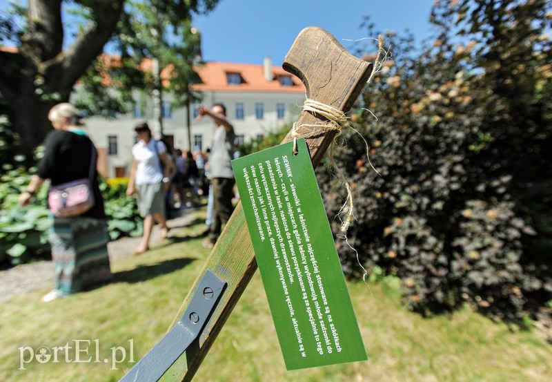 Tu wszystkiego można dotknąć zdjęcie nr 176362