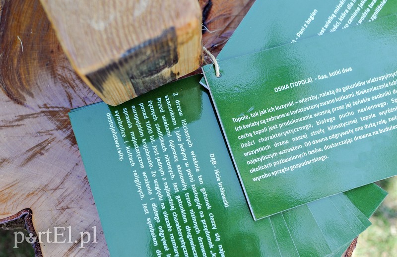 Tu wszystkiego można dotknąć zdjęcie nr 176380