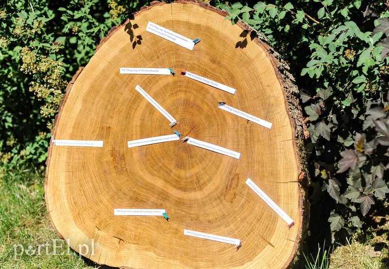 Tu wszystkiego można dotknąć zdjęcie nr 176373