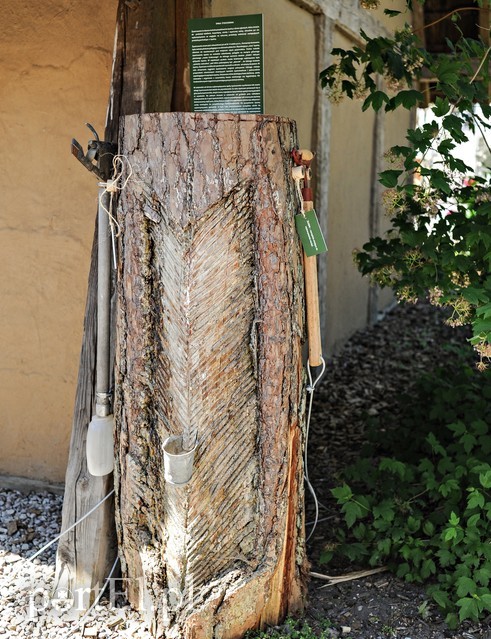 Tu wszystkiego można dotknąć zdjęcie nr 176383