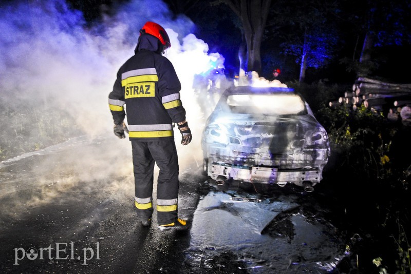 Infiniti spłonęło doszczętnie przy S22 zdjęcie nr 176463