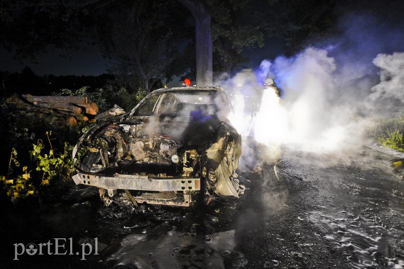 Infiniti spłonęło doszczętnie przy S22 zdjęcie nr 176464