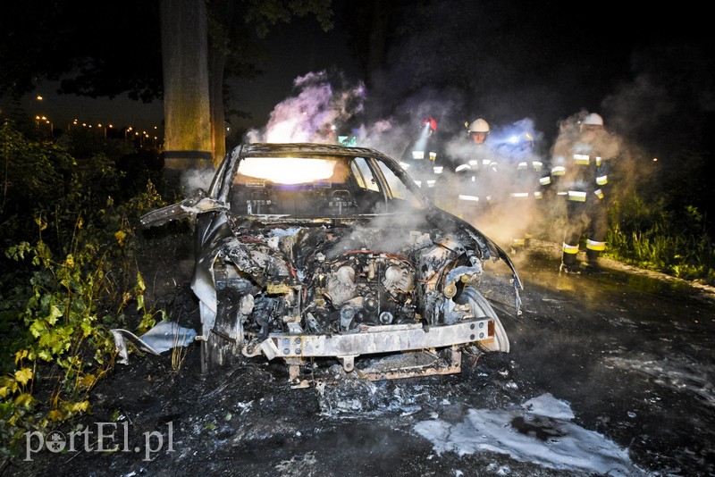 Infiniti spłonęło doszczętnie przy S22 zdjęcie nr 176465