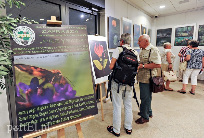 Zdjęcia przyrody na urodziny zdjęcie nr 176605