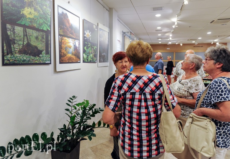 Zdjęcia przyrody na urodziny zdjęcie nr 176606