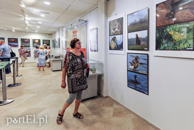 Zdjęcia przyrody na urodziny zdjęcie nr 176618