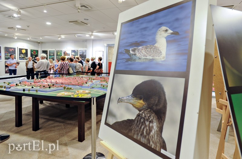 Zdjęcia przyrody na urodziny zdjęcie nr 176609