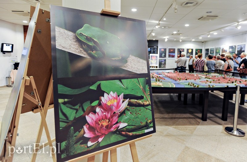 Zdjęcia przyrody na urodziny zdjęcie nr 176610