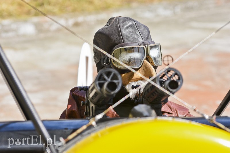 Ci, którym na widok samolotów serce bije szybciej byli dziś w "siódmym niebie" zdjęcie nr 177540