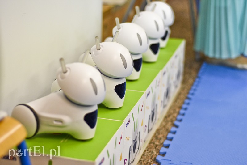 Przyjechali z Islandii żeby się uczyć  zdjęcie nr 177635