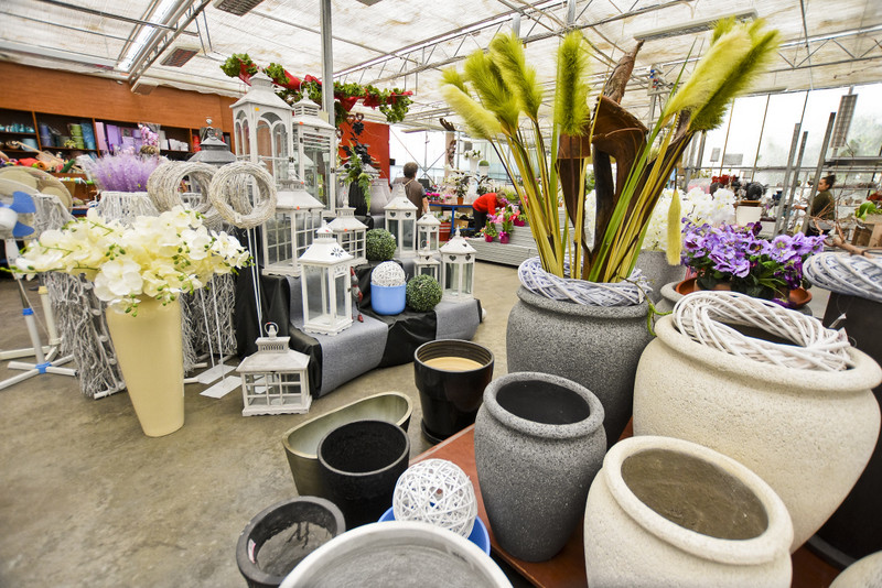 Wybierz naturalne piękno zdjęcie nr 177749