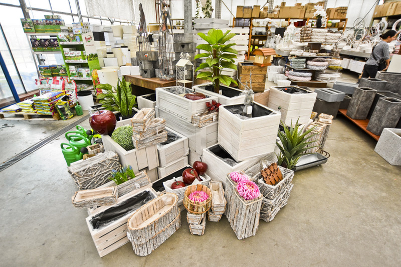 Wybierz naturalne piękno zdjęcie nr 177745