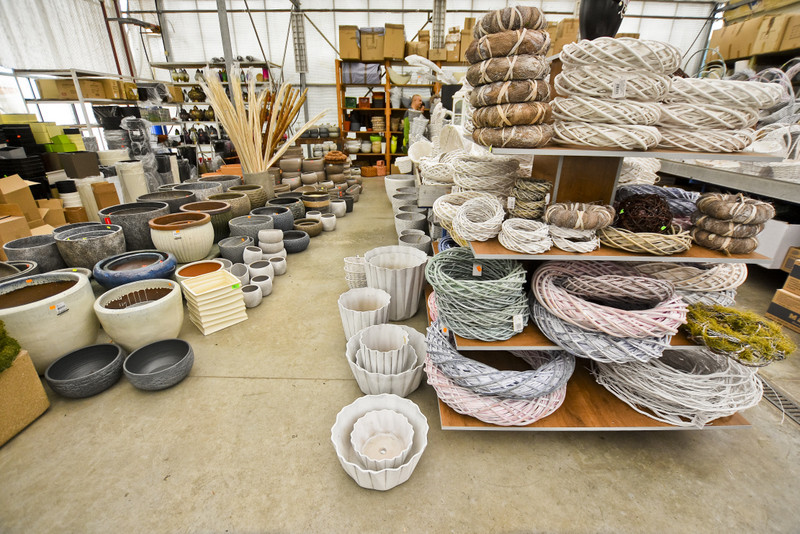 Wybierz naturalne piękno zdjęcie nr 177748