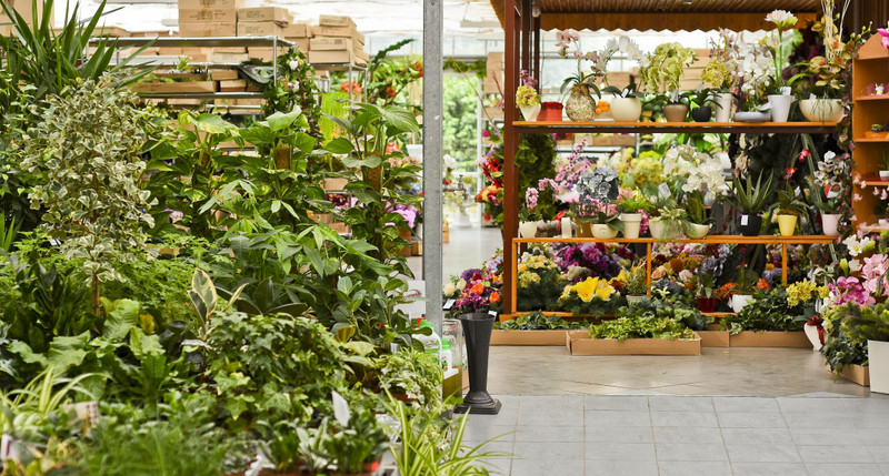 Wybierz naturalne piękno zdjęcie nr 177744