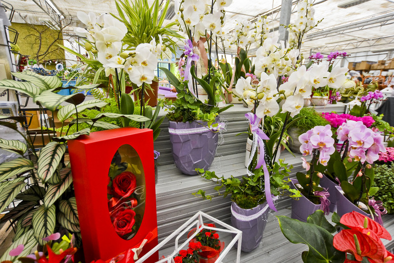 Wybierz naturalne piękno zdjęcie nr 177737