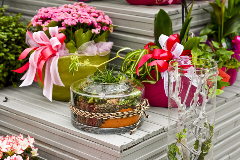 Wybierz naturalne piękno zdjęcie nr 177736