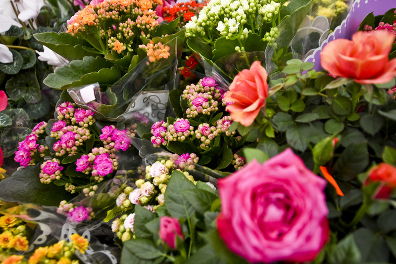 Wybierz naturalne piękno zdjęcie nr 177723