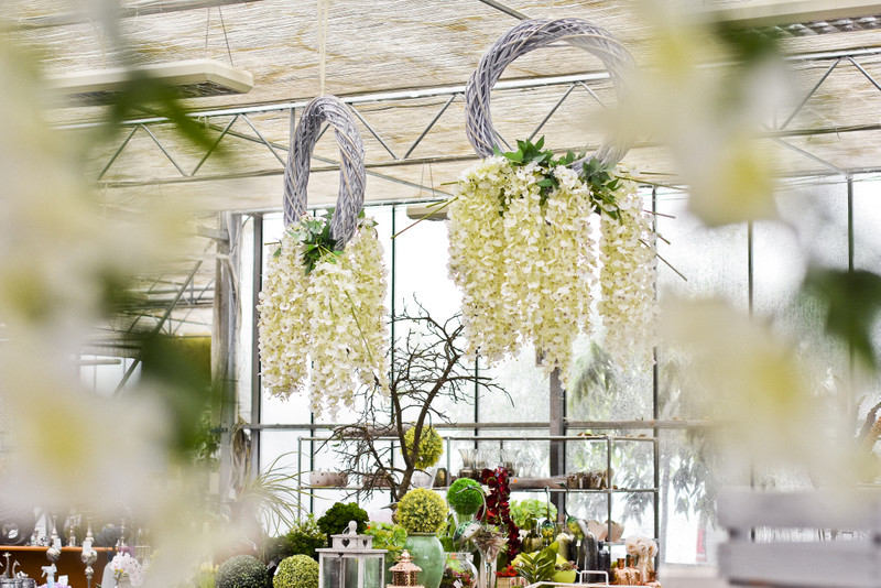 Wybierz naturalne piękno zdjęcie nr 177750