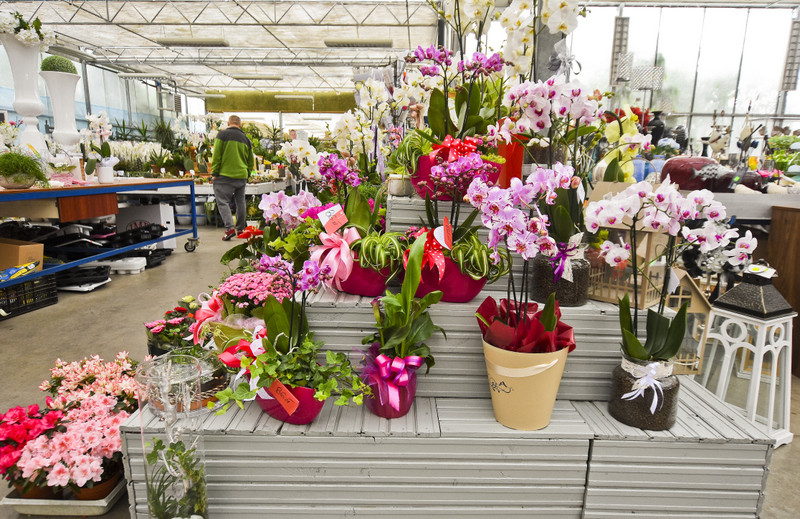 Wybierz naturalne piękno zdjęcie nr 177740