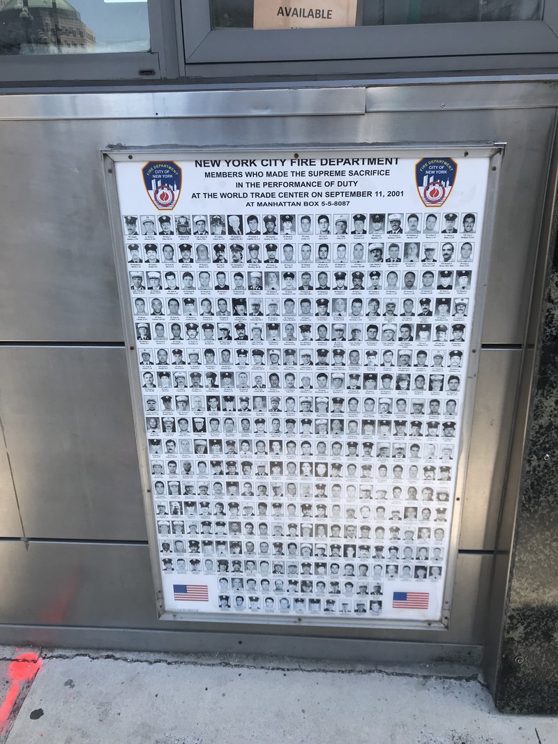 Różni ich system, łączy ratowanie życia zdjęcie nr 177871