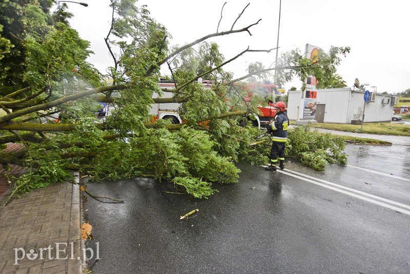 Uwaga, burza! zdjęcie nr 178640