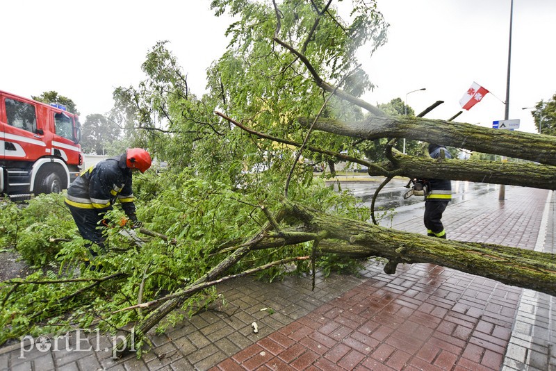 Uwaga, burza! zdjęcie nr 178643