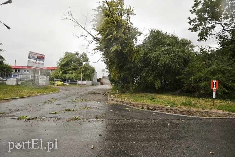 Uwaga, burza! zdjęcie nr 178636