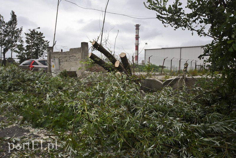 Uwaga, burza! zdjęcie nr 178634