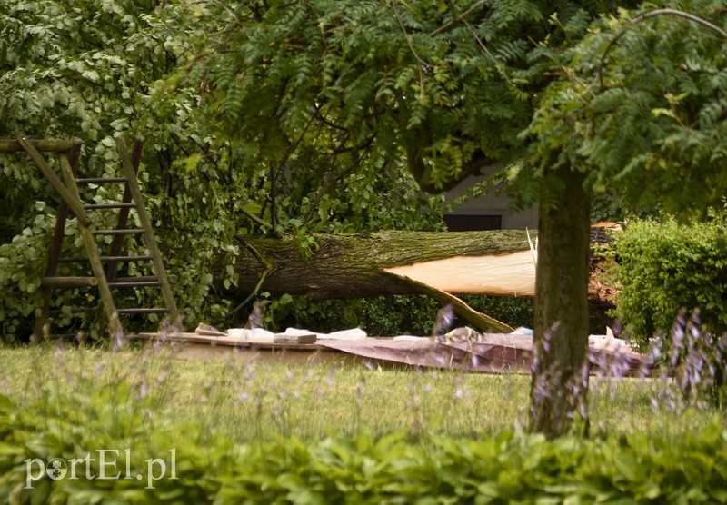 Uwaga, burza! zdjęcie nr 178653