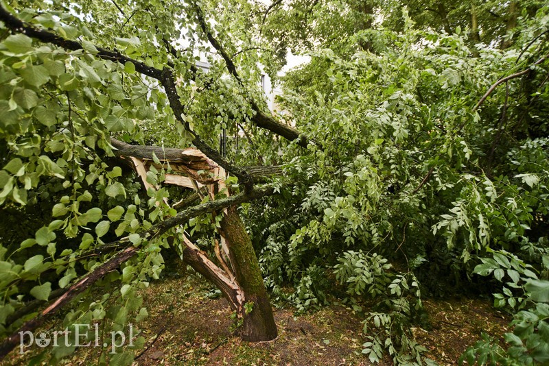 Uwaga, burza! zdjęcie nr 178652