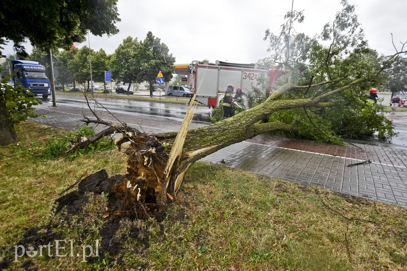 Uwaga, burza! zdjęcie nr 178639